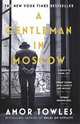 A Gentleman in Moscow, Towles Amor 