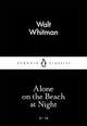 On the Beach at Night Alone, Whitman Walt 