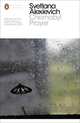 Chernobyl Prayer. A Chronicle of the Future, Alexievich Svetlana 