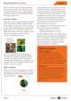 BBC Earth: Big and Small (PB) + downloadable audio, Godfrey Rachel 