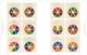 The Anatomy of Colour. The Story of Heritage Paints and Pigments, Baty Patrick 