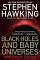 Black Holes and Baby Universes, Hawking Stephen 