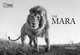 The Mara, Shah Anup 