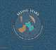 Seeing Stars. A Complete Guide to the 88 Constellations, Gillingham Sara 