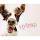 Flydogs, Berger Todd R. 