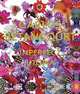 Carlos Betancourt: Imperfect Utopia, Laster Paul, Thompson Robert Farris 