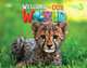 Welcome to Our World 3. Big Book, O'Sullivan Jill Korey, Kang Shin Joan 