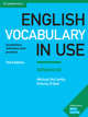 English Vocabulary in Use. Advanced. Book with Answers, Mccarthy Michael, O'dell Felicity 