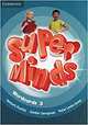 Super Minds Level 3 Wordcards (Pack of 83), 