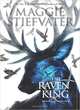 The Raven King, Stiefvater Maggie 