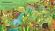 Look Inside. The Jungle. Board book, Lacey Minna 