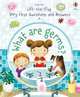 Lift-the-flap Very First Questions and Answers: What are Germs?, Daynes Katie 