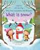 What is Snow?, Daynes Katie 