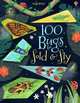 100 Bugs to Fold and Fly, Kimpimaki Essi, Taylor Nadia 