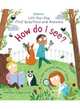 Lift-the-Flap First Questions & Answers How Do I See? Board book, 