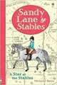 Sandy Lane Stables: A Star at the Stables, Bates Michelle 
