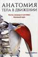Анатомия тела в движении. Кости, мышцы и суставы: базовый курс. Учебник, Даймон Теодор 