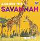 Across the Savannah (Nature Pop-ups) HB, Walden Libby 