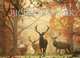 Richmond Park, Karter John, Saberi Alex 