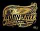 Born-Free. Motorcycle Show, 