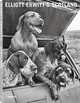 Elliott Erwitt's Scotland, 
