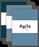 Космос. Agile-ежедневник для личного развития (темный, комплект из 3 блокнотов), Ленгольд Катерина 
