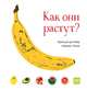 Как они растут?, Франсуаз де Гибер, Клеманс Полле 