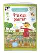 Что как растет (с наклейками), Талалаева Елена Владимировна 