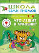 ШСГ. Четвертый год обучения. Что лежит в лукошке. Для занятий с детьми от 3 до 4 лет. Денисова Д., Дарья Денисова 