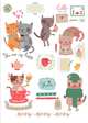 Cats. Тетрадь школьная в мягкой обложке, 48 л., 