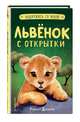 Львёнок с открытки (выпуск 1), Дэлахэй Рэйчел 