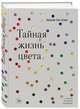 Тайная жизнь цвета. 2-е издание, исправленное и дополненное, Сен-Клер Кассия 