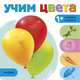Учим цвета, Станкевич С. А. 