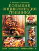 Большая энциклопедия грибника. Сбор, хранение, переработка, Матанцева Светлана Григорьевна, Матанцева Ольга Юрьевна 