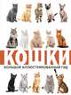 Кошки, Непомнящий Николай Николаевич 
