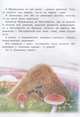 Мышонок Пик и другие сказки, Бианки Виталий Валентинович 