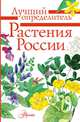 Растения России. Определитель, Пескова Ирина Михайловна, Дмитриева Т.Н., Куксина Н.В. 