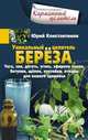 Уникальный целитель береза. Чага, сок, дёготь, уголь, эфирное масло, бетулин, щёлок, настойки, отвары для вашего здоровья, Константинов Юрий 