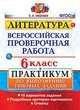 Литература. Всероссийская проверочная работа. 6 класс. Практикум по выполнению типовых заданий. 10 вариантов заданий. ФГОС, Ляшенко Елена Леонидовна 