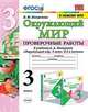 Окружающий мир. 3 класс. Проверочные работы к учебнику А.А. Плешакова. ФГОС, Погорелова Надежда Юрьевна 