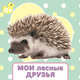 Мои лесные друзья, 
