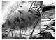 One-Punch Man. Книга 2, ONE 