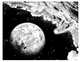 One-Punch Man. Книга 4, ONE 