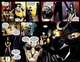 Бэтмен. Detective Comics. Вопрос доверия, Дини Пол 