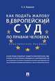 Как подать жалобу в Европейский суд по правам человека. Практическое пособие, Бирюков Александр Александрович 