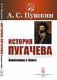 История Пугачева. Замечания о бунте, Пушкин А.С. 