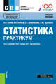 Статистика. Практикум. Учебное пособие, Салин Виктор Николаевич, Шпаковская Елена Петровна, Попова Анна Алексеевна 