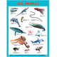 Плакаты "Sea Animals", 