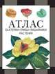 Бактерии, грибы, лишайники, растения. Атлас, Черепанов И.В. 