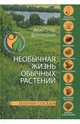 Необычная жизнь обычных растений. Зеленые соседи, Бернацкий Анатолий Сергеевич 